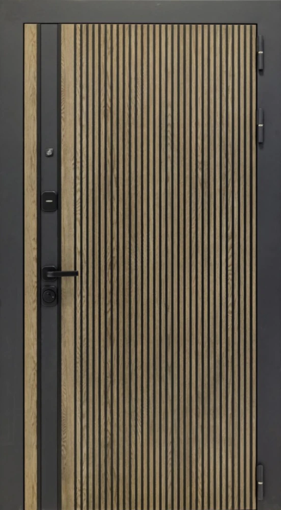 Входная дверь ДвериПРО Rosna ФЛ-256 (10мм, бетон пепельный) DPRO197942 внешняя сторона