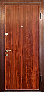 Ламинированная дверь DZ15
